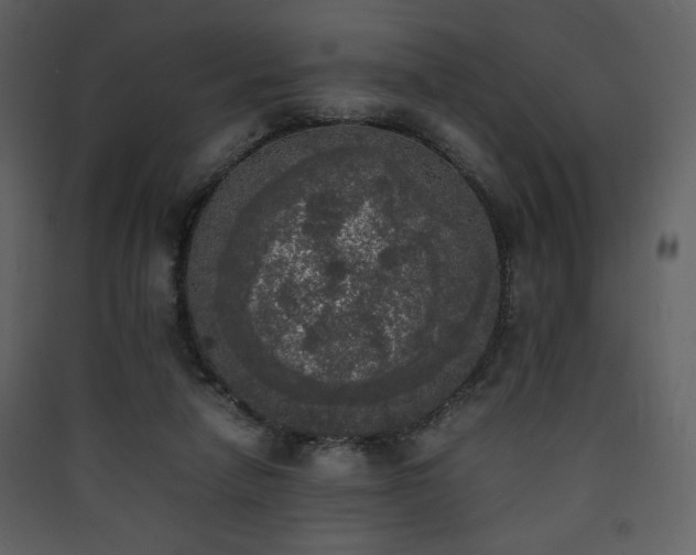 X0000090410258200707131154