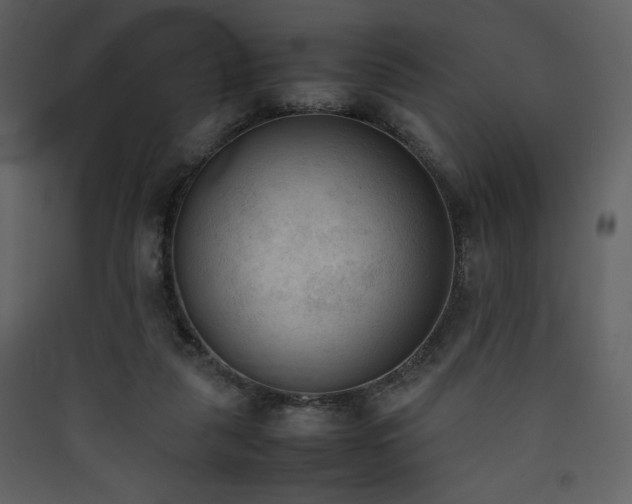 X0000090410259200707131154