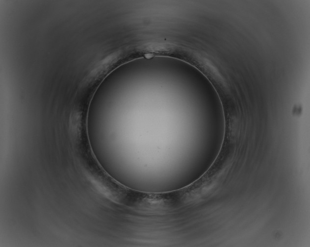X0000090410260200707131154
