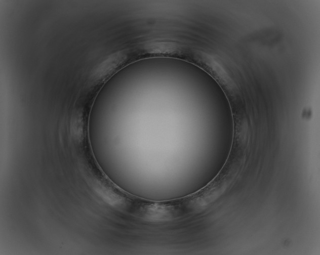 X0000090410261200707131154