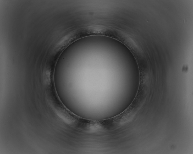 X0000090410262200707131154