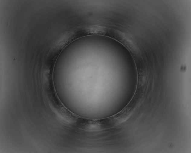 X0000090410263200707131154