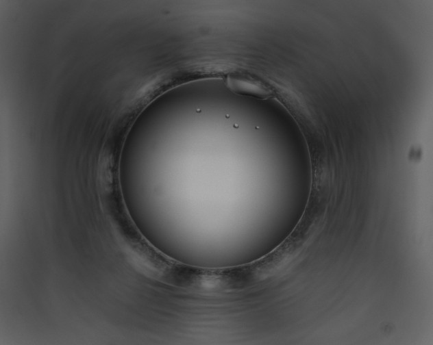 X0000090410264200707131154