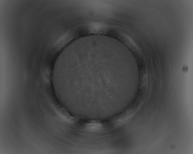 X0000090410266200707131154