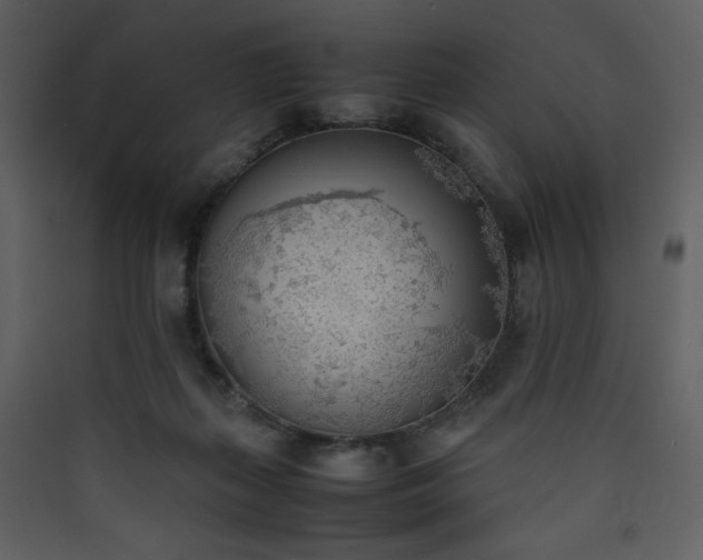 X0000090410267200707131154