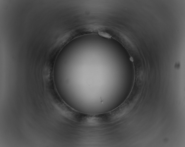 X0000090410268200707131154