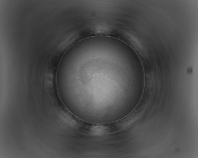 X0000090410269200707131154