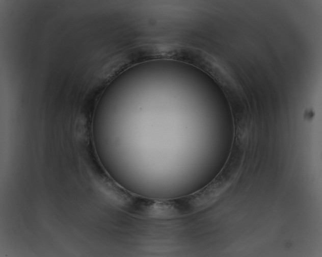 X0000090410270200707131154