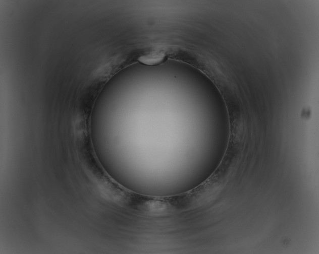 X0000090410272200707131154