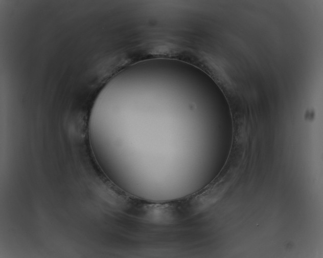 X0000090410273200707131154