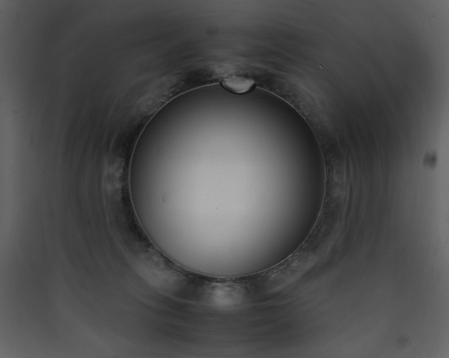 X0000090410275200707131154