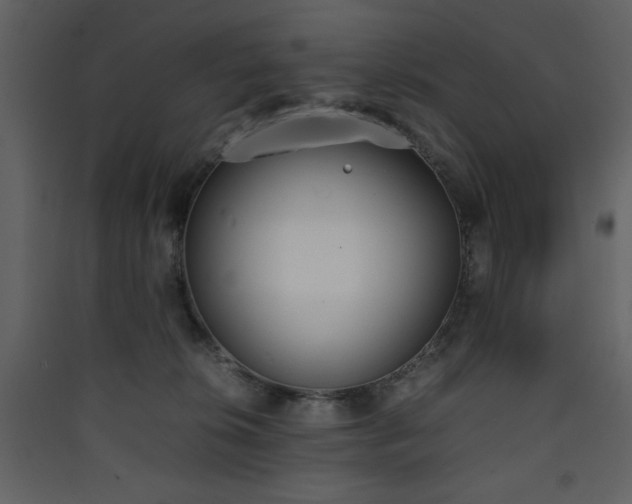 X0000090410276200707131154