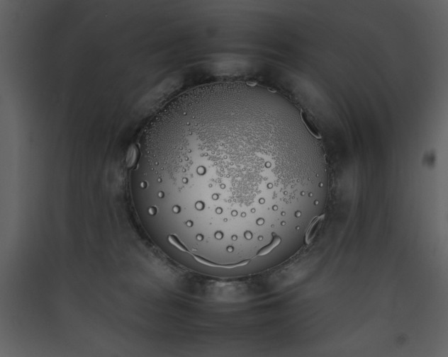 X0000090410277200707131154