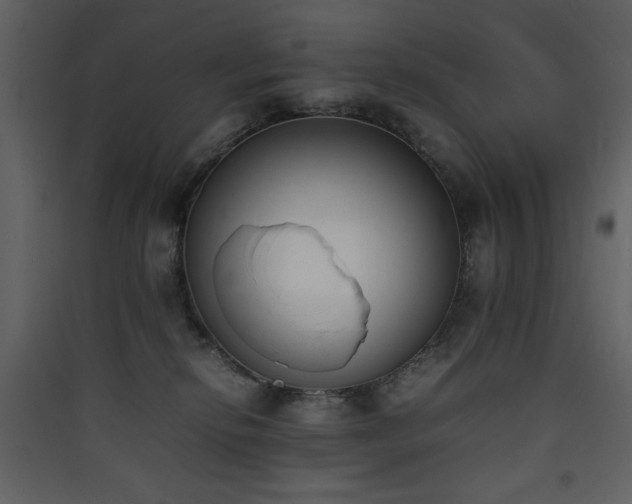 X0000090410278200707131154