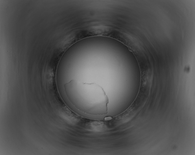 X0000090410279200707131154