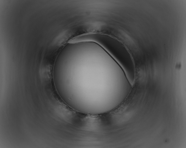 X0000090410280200707131154