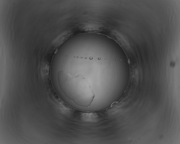 X0000090410281200707131154