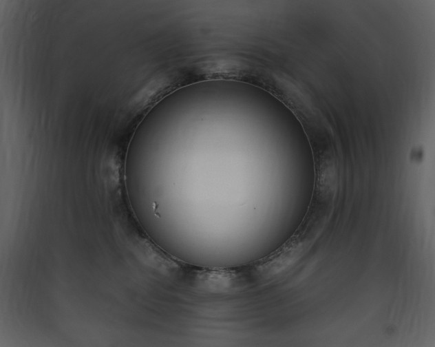 X0000090410282200707131154