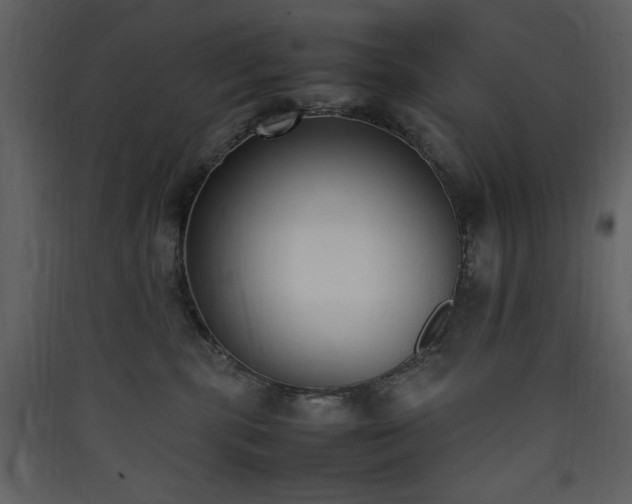 X0000090410283200707131154