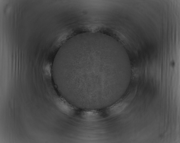 X0000090410286200707131154