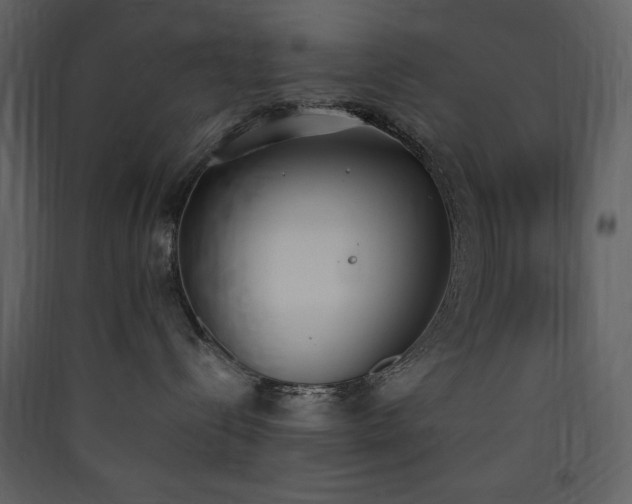 X0000090410288200707131154
