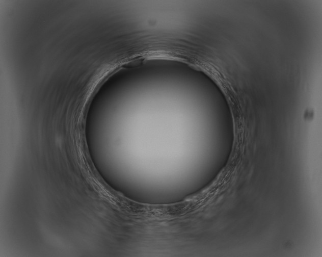 X0000090410289200707131153