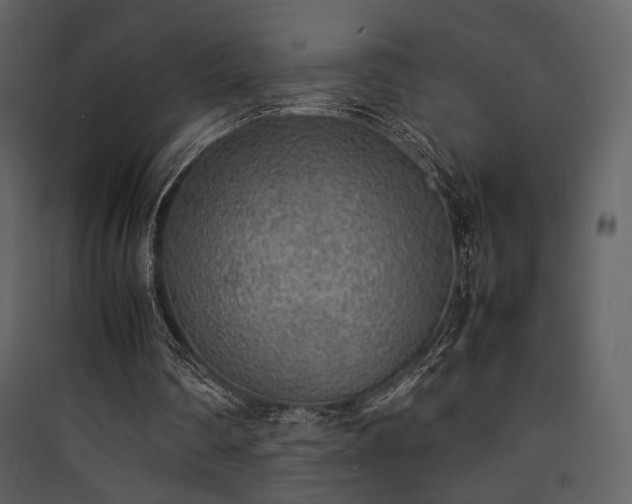 X0000090410290200707131153