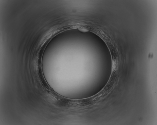 X0000090410291200707131153