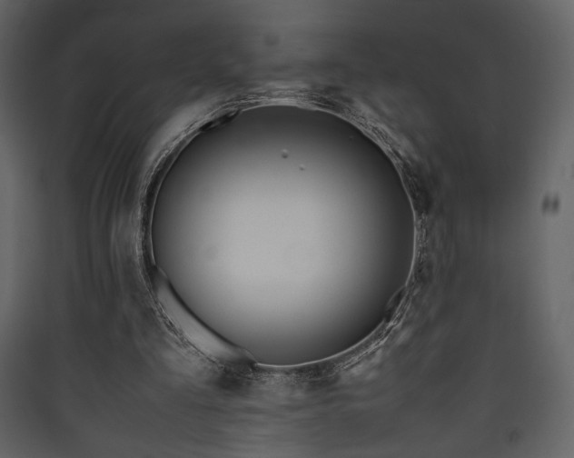 X0000090410293200707131153