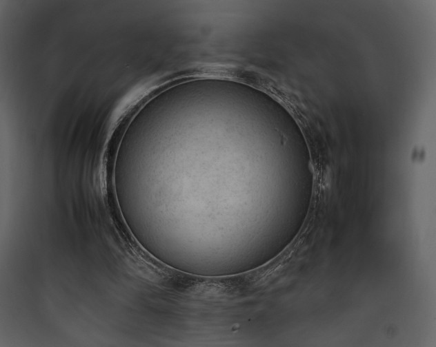 X0000090410294200707131153