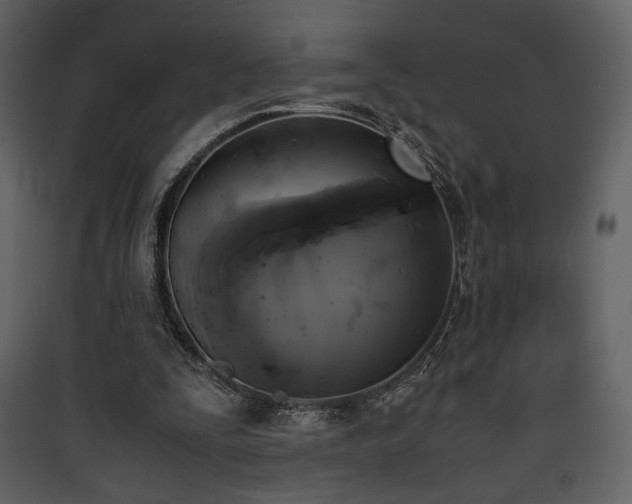 X0000090410295200707131153