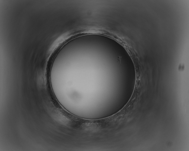 X0000090410296200707131153
