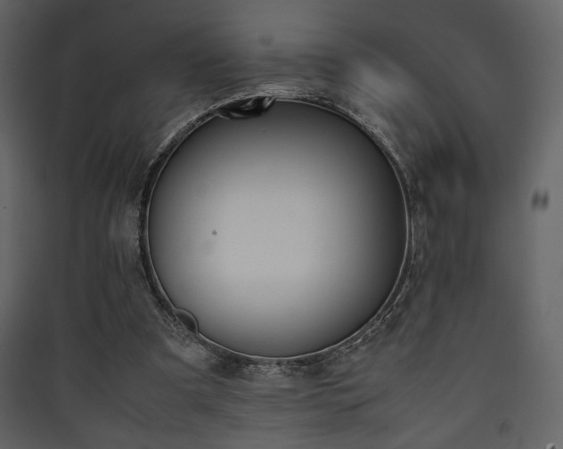 X0000090410297200707131153