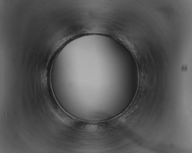 X0000090410298200707131153