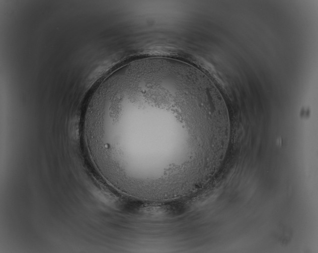 X0000090410299200707131153