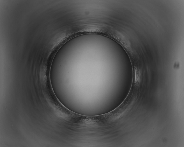X0000090410300200707131153