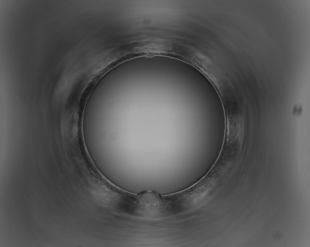 X0000090410301200707131153