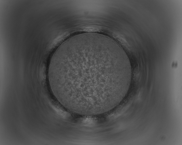 X0000090410303200707131153