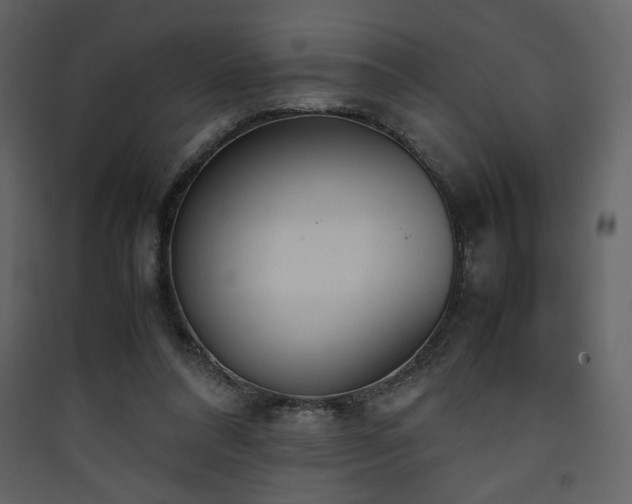 X0000090410304200707131153