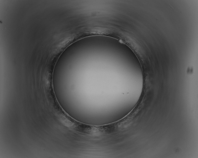 X0000090410305200707131153