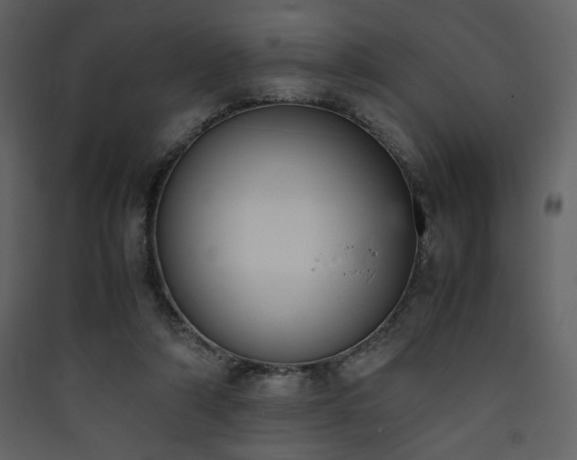 X0000090410306200707131153