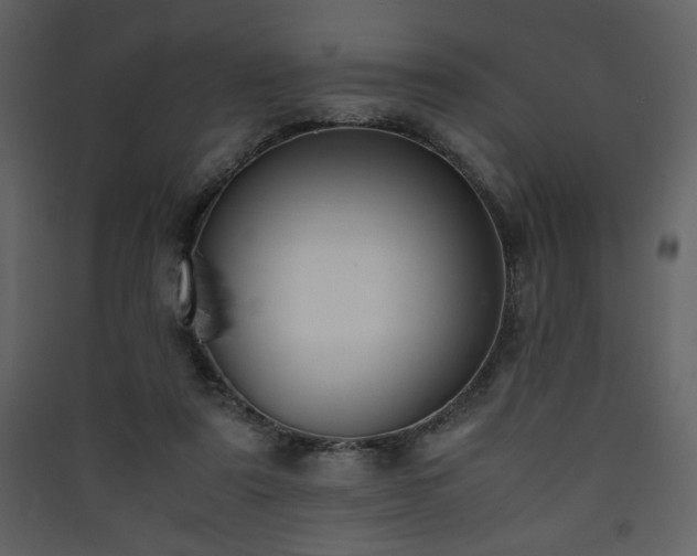 X0000090410307200707131153
