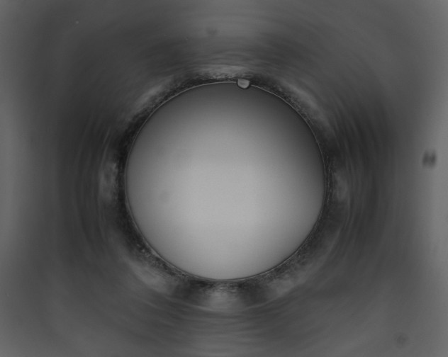 X0000090410308200707131153