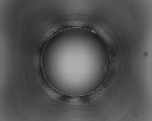 X0000090410309200707131153