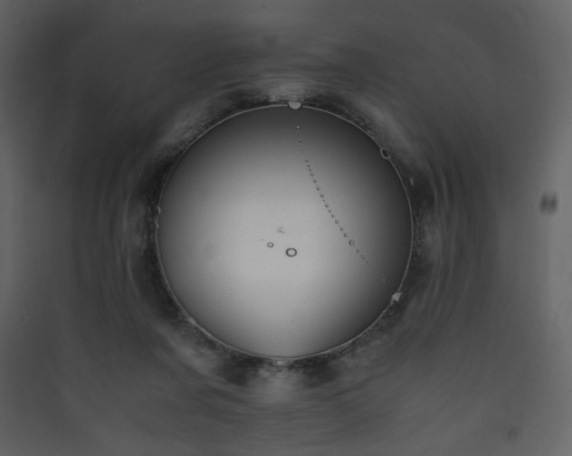 X0000090410311200707131153