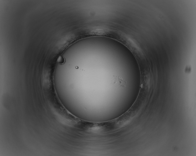 X0000090410312200707131153