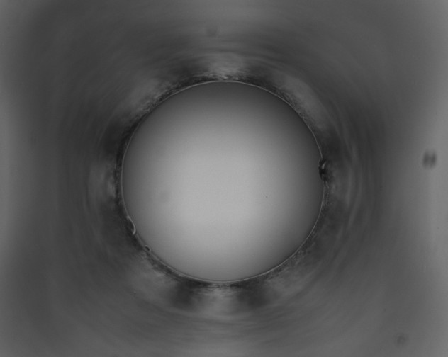 X0000090410313200707131153