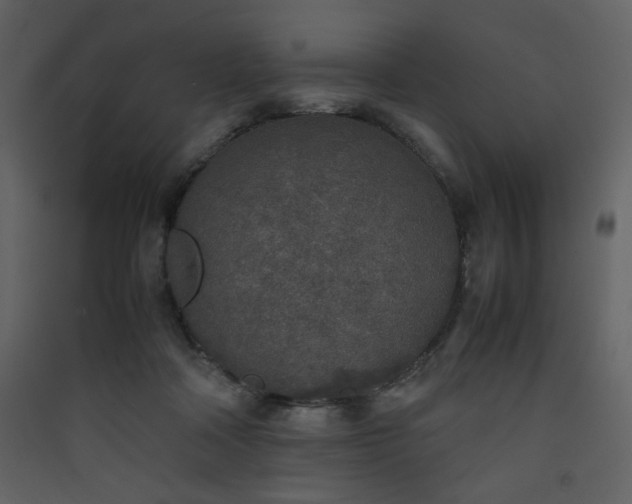 X0000090410314200707131153