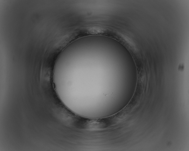 X0000090410315200707131153