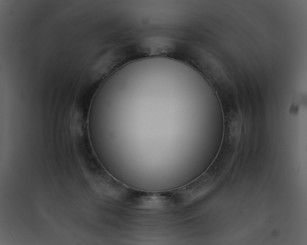 X0000090410316200707131153